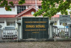  Korban Judol Masuk DTKS Penerima Bansos, Ini Kata Dinsos Provinsi Bengkulu