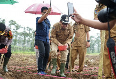 Tanam Jagung Serentak 1 Juta Hektare, Bupati Kepahiang Sampaikan Ini