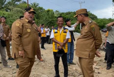 Proyek Infrastruktur Jalan Bengkulu Selatan: Gagal di Tahun Ini, Ajukan Lagi ke Kementerian Tahun 2026