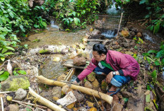 Proyek Penanganan Kemiskinan Ekstrem Habiskan Rp5,1 Miliar, Saluran Air Cuma Ditahan Batu dan Kayu  