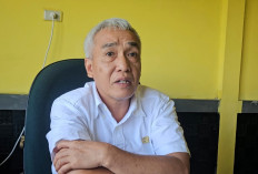Tahun Ini, Target Replanting Sawit 500 Hektare