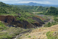 Apabila Perusahaan Tak Reklamasi Lahan Eks Tambang, 5 Tahun Penjara dan Denda Rp100 Miliar