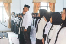 Ada 3 Kriteria Utama Diangkat, Masuk Database Belum Tentu Lulus PPPK Kepahiang 2025