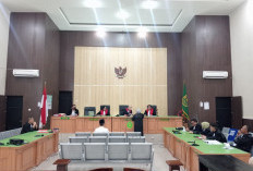 Pasal Berlapis untuk Terdakwa Alih Kuasa Tambang PT RSM 