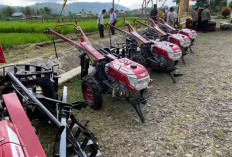 Ini Penampakan 5 Unit Handtractor Buat Petani Kepahiang, Bantuan Provinsi 