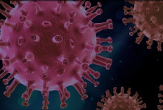 Cara Baru Cegah Infeksi Covid-19, Lewat Antibodi Buatan