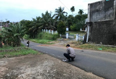 Pelajar Tewas Terlindas Truk, Polisi Amankan Sopir 