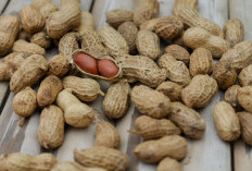 Dapatkan Energi Saat Berpuasa dengan Kacang-Kacangan, Ini Khasiatnya