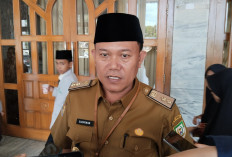 SK Pengangkatan PPPK 2023 Bakal Diberikan Maret, Perhatikan Imbauan Kadis Dikbud Provinsi Bengkulu