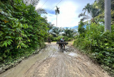 Sekda Bengkulu Selatan Prioritaskan Pembangunan Jalan Rusak Cinto Mandi, Alasannya? 