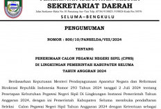 Resmi, Pemkab Seluma Buka 1350 Formasi CPNS, Cek Alokasi Lengkapnya di Sini