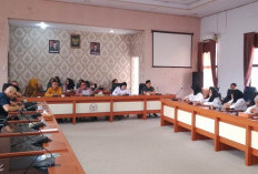 Usulan PPPK Paruh Waktu Sesuai Kebutuhan Daerah