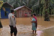 Hujan Deras, 70 Rumah di Seluma Terendam Banjir 