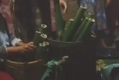 Budaya Nusantara! Berikut 3 Fakta Menarik Tradisi Melemang di Kabupaten Kaur