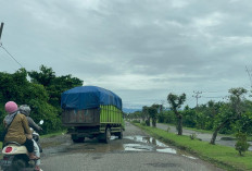 Jalan Padang Panjang Rusak, Padahal Akses Penting di Bengkulu Selatan 