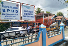BPBD Kota Bengkulu Andalkan Informasi Cepat dan Logistik Hadapi Bencana