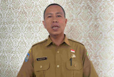 Menanti Kepastian Pusat, Harapan PPPK Paruh Waktu Masih Menggantung