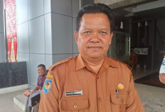 Bengkulu Utara Perkuat Penghijauan Tekan Risiko Bencana Lingkungan
