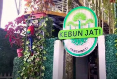 Hits, Instagramable dan Wajib Dikunjungi! Berikut 3 Tempat Wisata Bogor Terbaru 2025