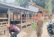 Tutup Hiburan Malam Ilegal, Pemkab Bengkulu Selatan Putus Aliran Listrik di Pasar Bawah