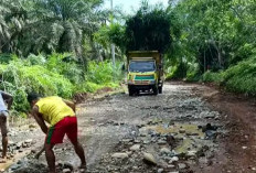 Warga Selagan Jaya Kota Mukomuko Bangun Jalan Secara Swadaya