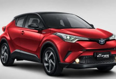 Ada Insentif Pajak, Saat yang Tepat Beli Mobil Hybrid Toyota