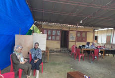 Pilkades Serentak 11 Desa Tuntas, Berikut Hasil Penghitungan Suaranya