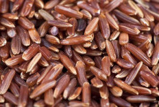 Mengonsumsi Nasi Merah Bisa Bikin Kurus, Termasuk Mitos, Begini Penjelasannya