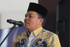 4 Mantan Caleg Lulus PPPK Tahap 1 Tidak Bisa Dilantik, Nomor Induk Harus Dicabut