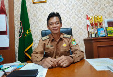 PT DSJ Keberatan Atas Teguran Kedua, Pemkab Kaur Tetap Minta Penuhi Kewajiban 