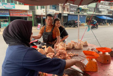  Turun hingga Rp5 Ribu/Kg, Penjualan Ayam Potong Meningkat