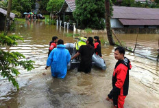 Hujan Belum Reda, BPBD Mencatat 18 Kelurahan di Kota Bengkulu Kebanjiran