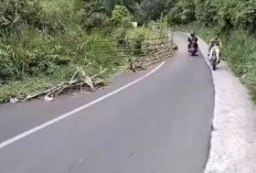 Menanti Provinsi Tangani Jalan Lintas Kepahiang-Seberang Musi Longsor 