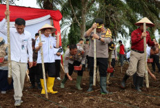 Kapolres Bengkulu Utara Pimpin Penanaman Jagung di Lahan 2 Hektare, Dukung Program Presiden Prabowo 