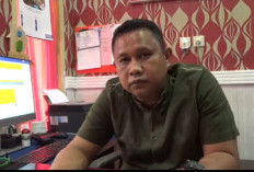 Hingga Juli, Terjadi 16 Kasus Asusila di Kabupaten Kaur, Penyebabnya Utamanya Tidak Disangka-sangka