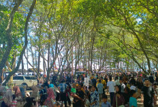 Sampai September, Capaian PAD Sektor Pariwisata Baru 51 Persen 