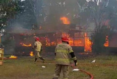Basecamp Outbound Dilahap Sijago Merah, Ini Dugaan Sementara Asal Api