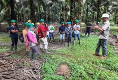 Disnakertrans Siapkan Draf Perda Retribusi TKA Untuk Maksimalkan Sumber PAD 