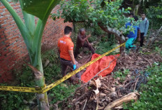 BREAKING NEWS: Warga Anggut Dalam Ditemukan Tewas di Kebun Pisang 