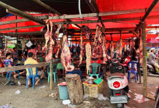  Stok Melimpah, Harga Daging di Bengkulu Selatan Turun Drastis Rp90/Kg