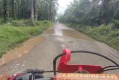  Jalan Pesisir Pantai Barat Seluma Rusak, Warga Harap Perbaikan Segera