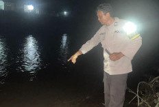 Pergi Cari Keong Bersama Cucu, Kakek Hanyut di Sungai Ketahun Meninggal Dunia