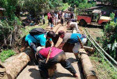 Tanggap Darurat Jalan Putus Giri Mulya, Dipasangi Batang Kelapa