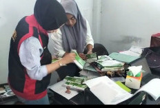 Dugaan Korupsi Perjalanan Dinas DPRD Kaur, Kejari Terus Lakukan Pemanggilan Saksi 