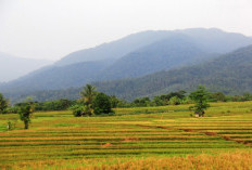 Dilintasi Bukit Barisan, Ini Gunung dan Bukit yang Terlihat dari Bengkulu Utara