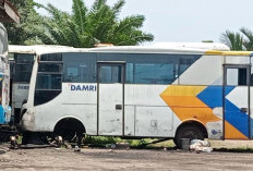 Bus DAMRI Mulai Beroperasi di Seluma, Pemkab Akan Siapkan Halte di Kawasan Perkantoran