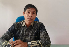 Pemkab Kaur Wajibkan Penginapan dan Hotel Lapor Tamu WNA 
