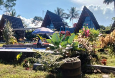 Penginapan Wisata Kekinian di Bengkulu yang Recommended Untuk Dikunjungi, Serta Harga Sewanya