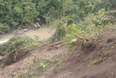 Akses Lebong Tandai Tertutup, Rel Molek Tertimbun Longsor, Warga Belum Berani Evakuasi