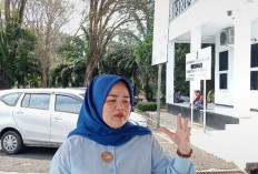 Posko Pengaduan Belum Dibuka, 20 Warga Kota Bengkulu Sudah Melapor Kerugian Akibat Listrik PLN Padam